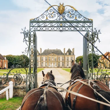 Haras National du Pin: Normandy’s iconic equestrian site