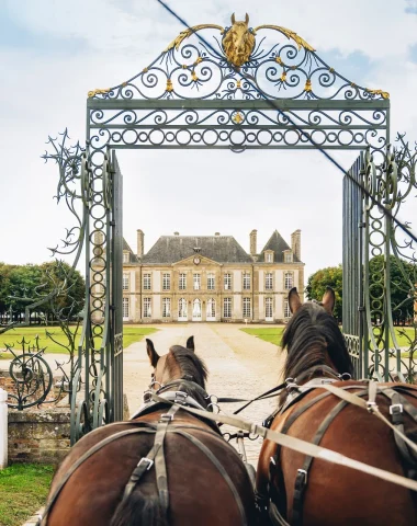 Haras National du Pin: Normandy’s iconic equestrian site
