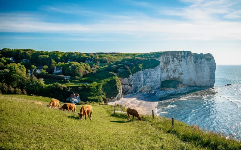 Falaises_de_la_Cote_d_Albatre seine-maritime