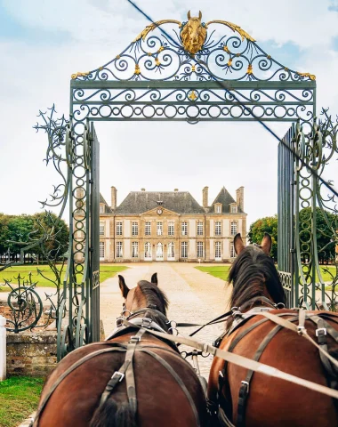 Horse industry: Normandy, a land of equestrian excellence