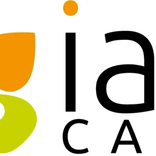 logo iae caen