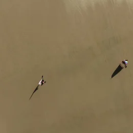 Land sailing in Normandy