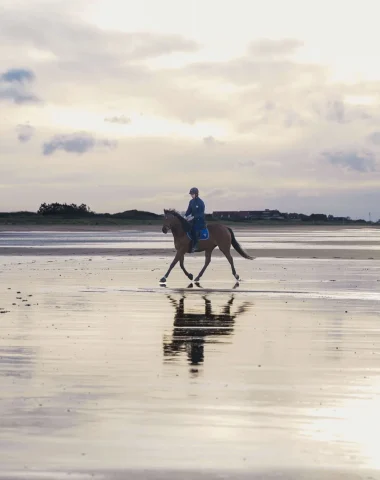 Balade à cheval sur la plage en Normandie