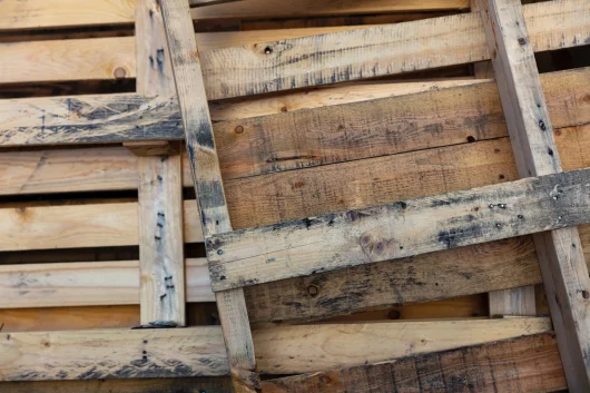 Jean-Louis Louvel, eco-friendly entrepreneurship