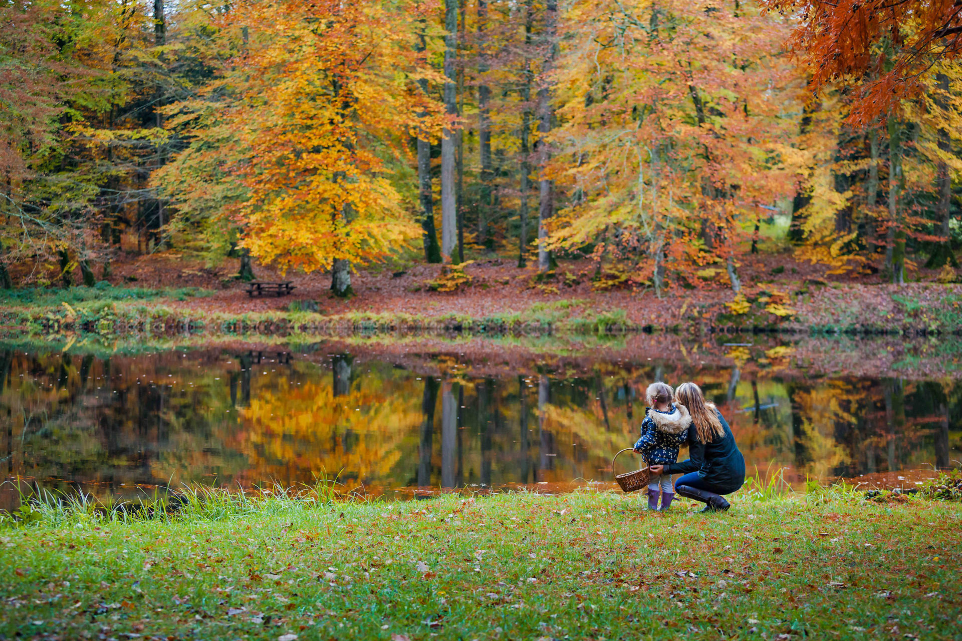 Forêt de Bellême en automne ©Sabina Lorkin