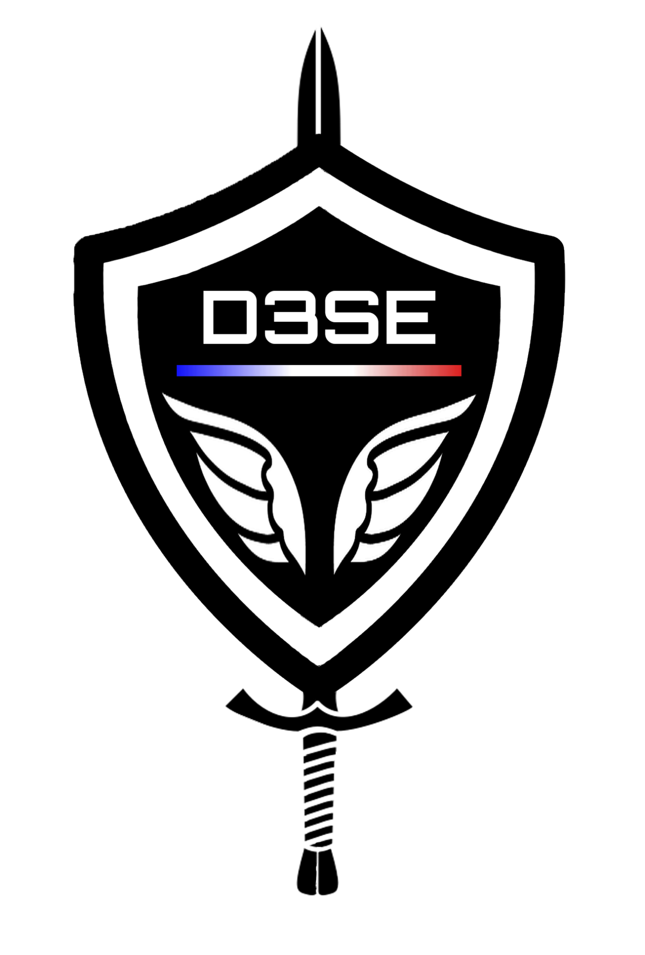 D3SE